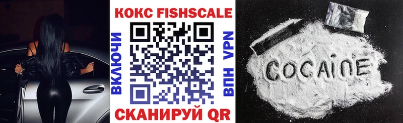 гидра ссылки  сколько стоит  Николаевск  Cocaine FishScale 