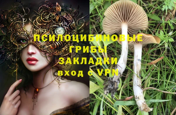 каннабис Аркадак