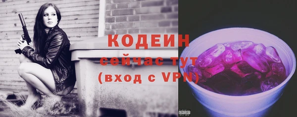 дурь Арсеньев