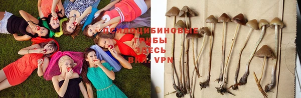 дурь Арсеньев
