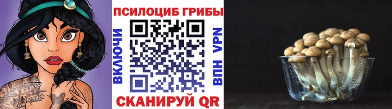 Галлюциногенные грибы GOLDEN TEACHER  ОМГ ОМГ ONION  Николаевск 